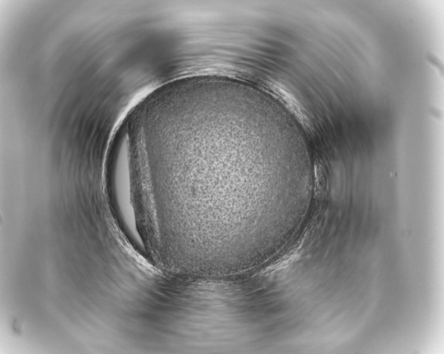 X0000093750780200710301124