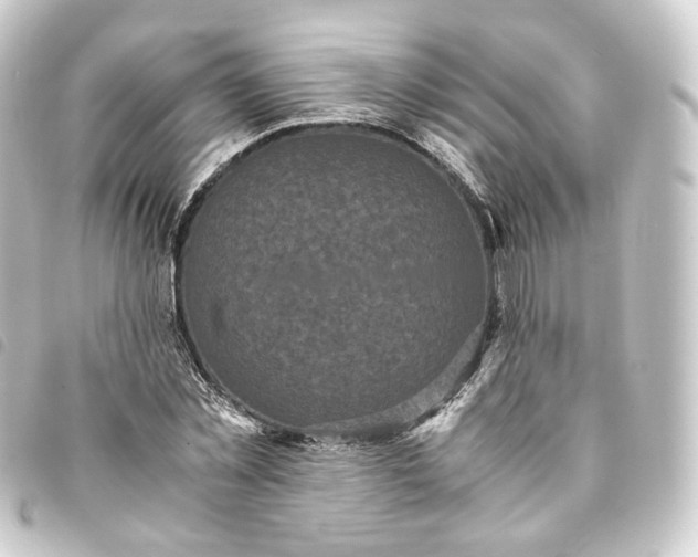 X0000093750781200710301124