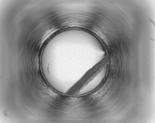X0000093750782200710301124