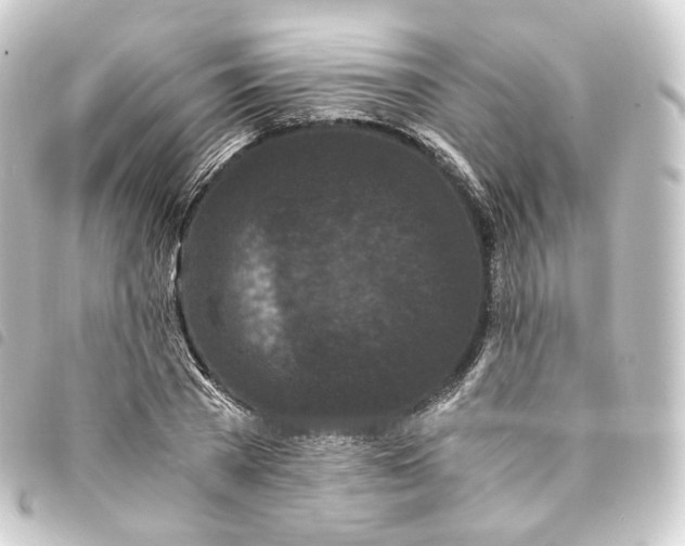 X0000093750785200710301124