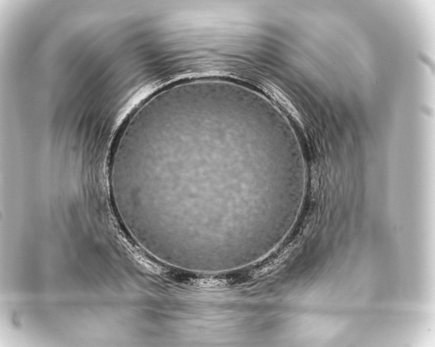 X0000093750789200710301124
