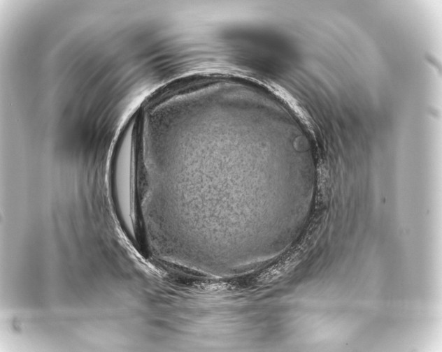 X0000093750791200710301124