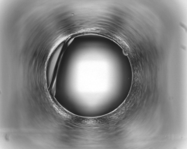 X0000093750792200710301124
