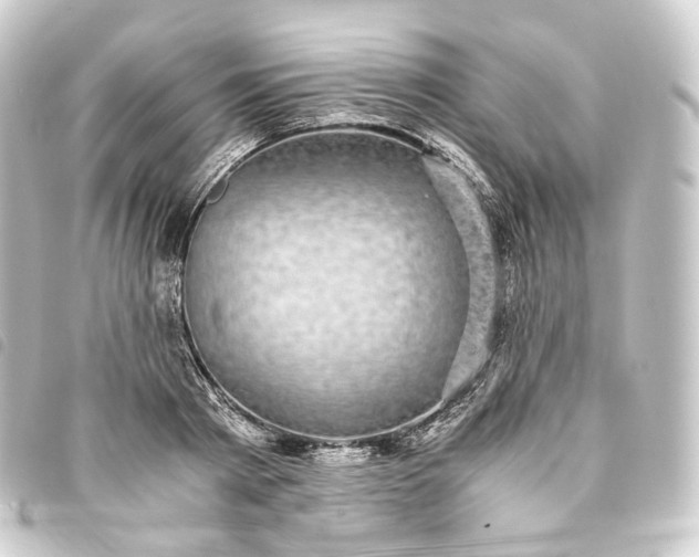 X0000093750793200710301124