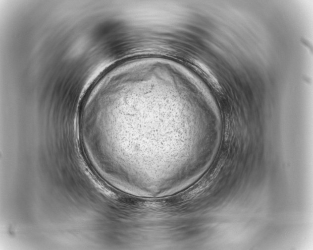 X0000093750796200710301124