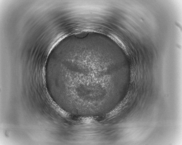 X0000093750798200710301124