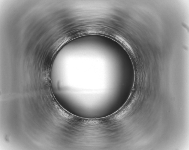 X0000093750801200710301124