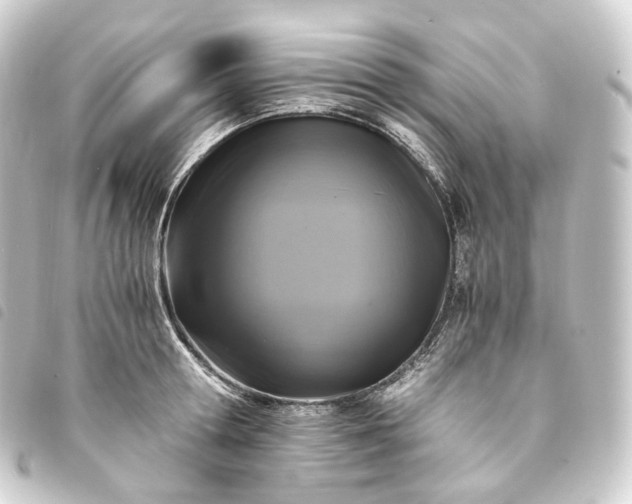 X0000093750802200710301124