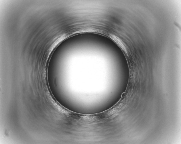 X0000093750805200710301123