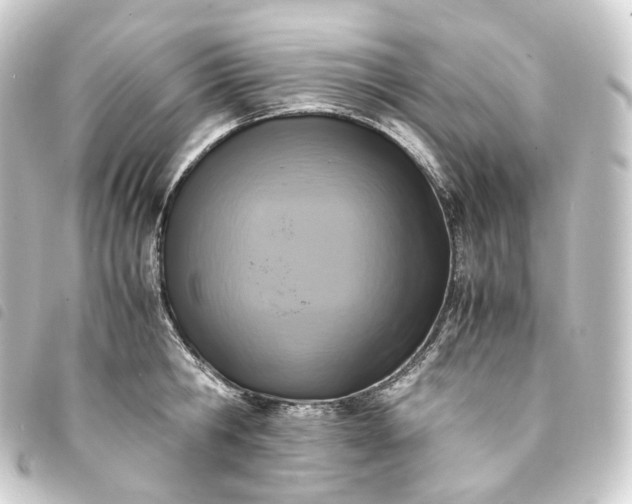 X0000093750806200710301123