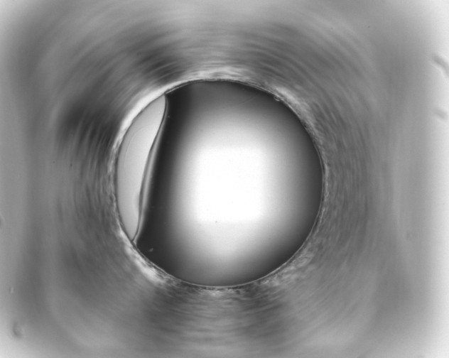 X0000093750816200710301123