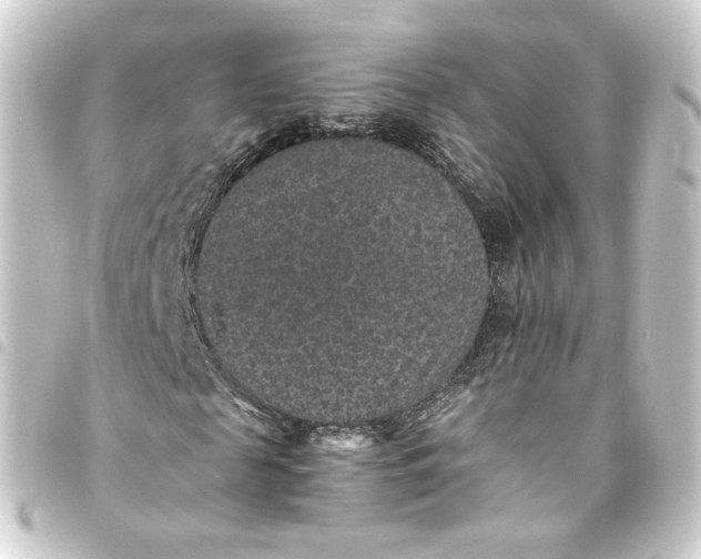 X0000093750817200710301123