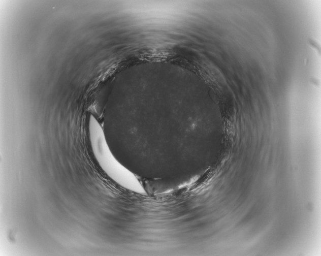 X0000093750818200710301123