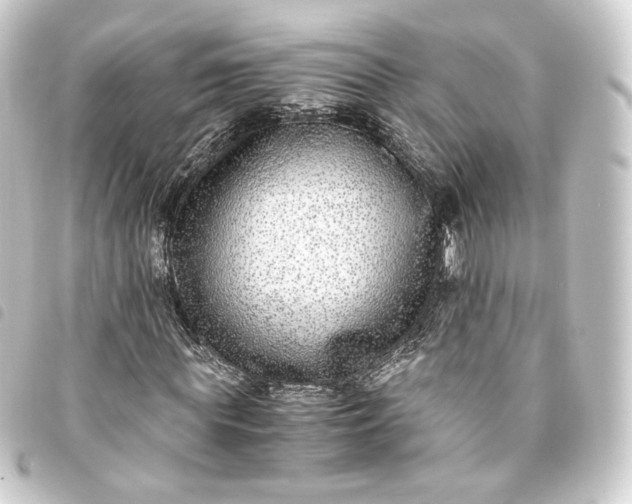 X0000093750819200710301123