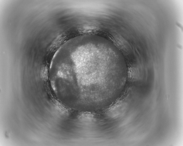 X0000093750820200710301123