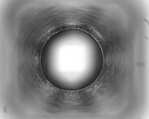 X0000093750821200710301123