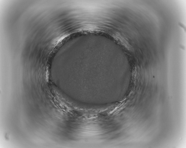 X0000093750822200710301123