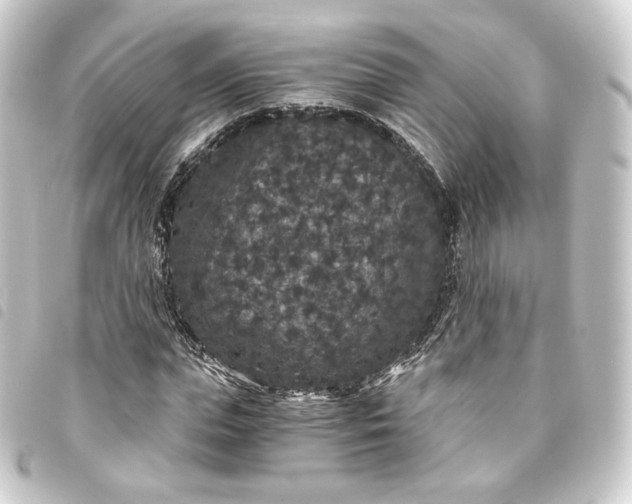 X0000093750823200710301123