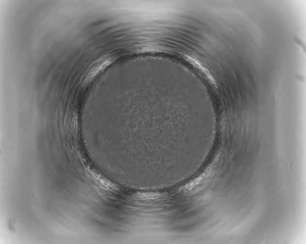 X0000093750825200710301123