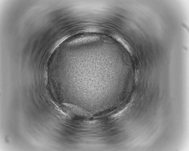 X0000093750829200710301123