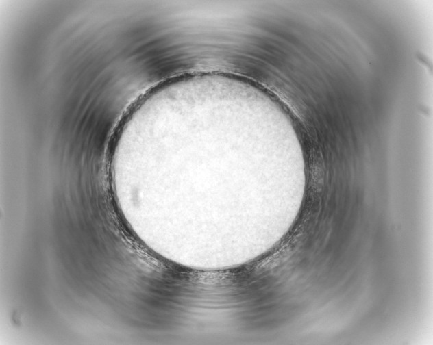 X0000093750832200710301123