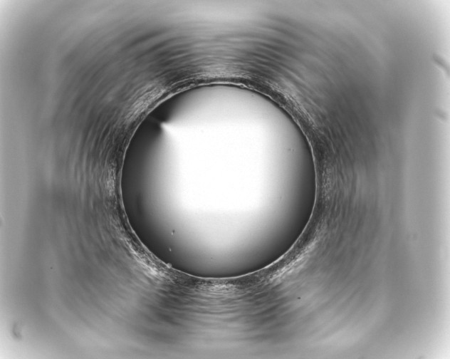 X0000093750833200710301123