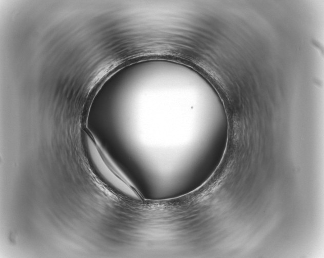 X0000093750834200710301123