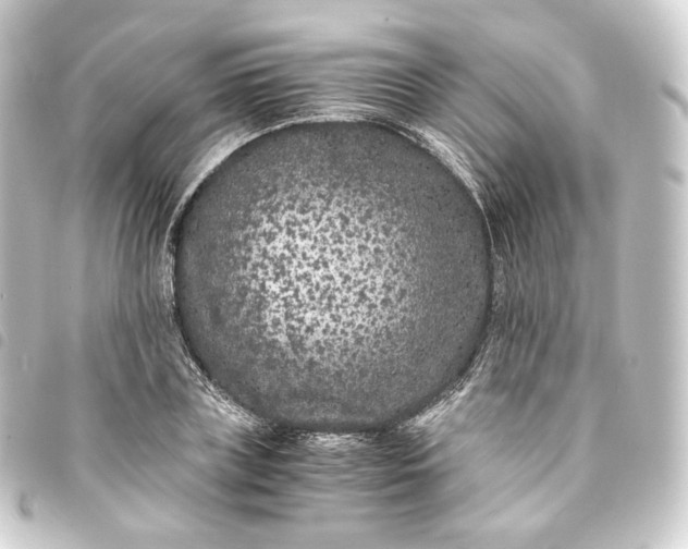 X0000093750835200710301123