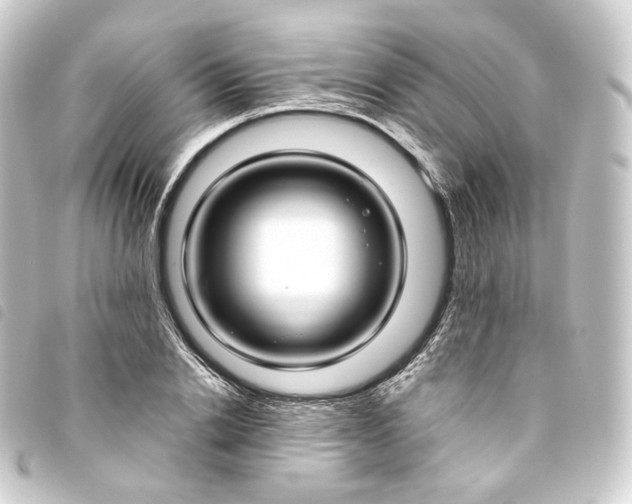 X0000093750838200710301123