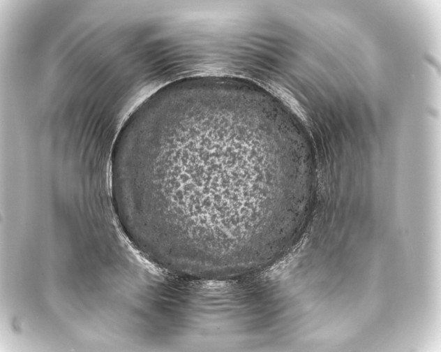 X0000093750839200710301123