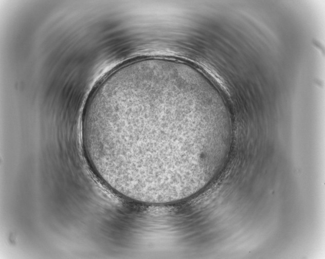 X0000093750840200710301123