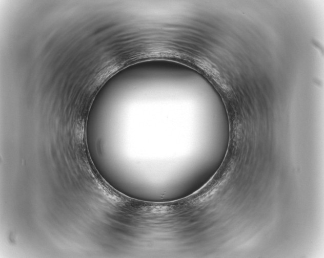 X0000093750841200710301123