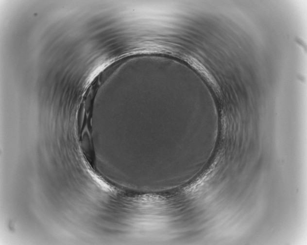 X0000093750842200710301123