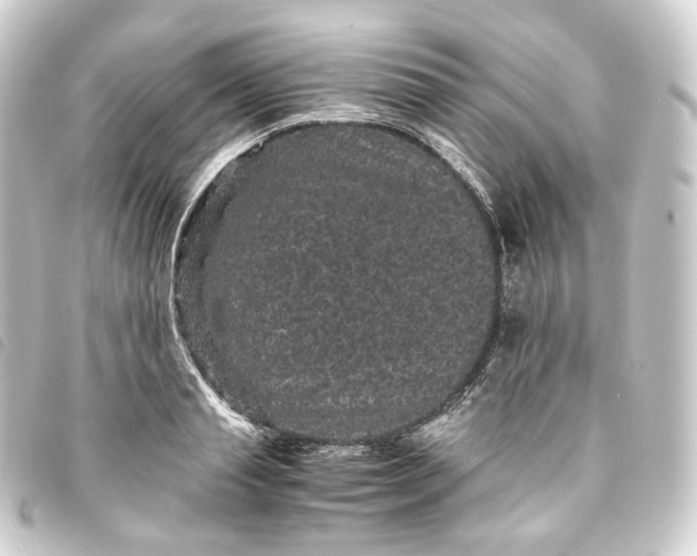 X0000093750845200710301123