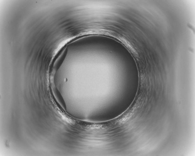X0000093750846200710301123