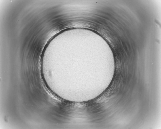 X0000093750848200710301123