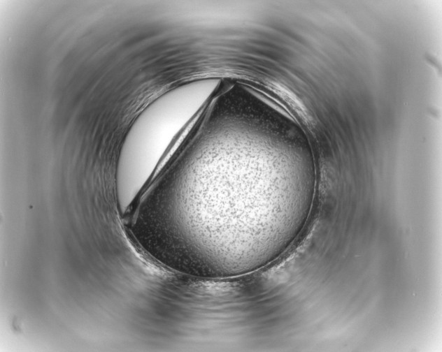X0000093750849200710301123