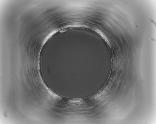 X0000093750853200710301123