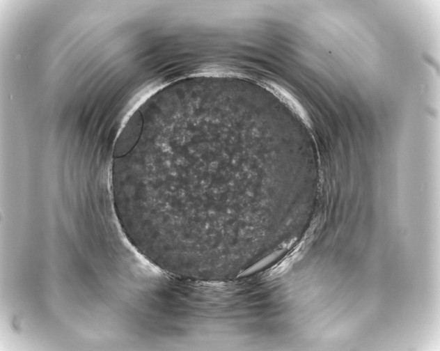 X0000093750855200710301123