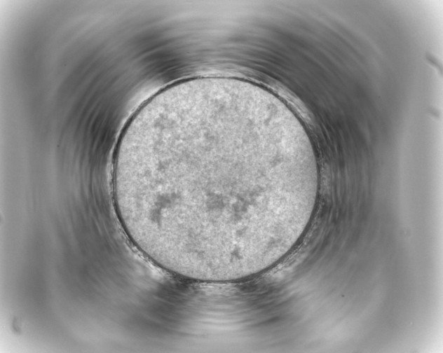 X0000093750856200710301123