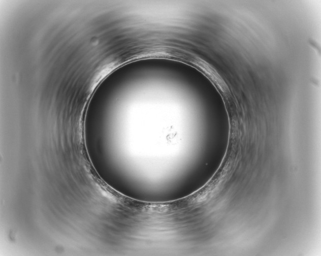 X0000093750858200710301123