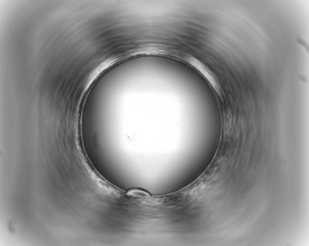 X0000093750861200710301123