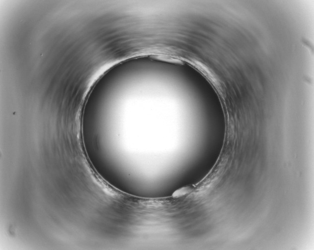 X0000093750862200710301123