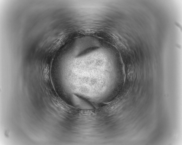 X0000093750866200710301123