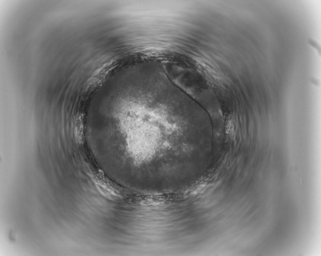 X0000093750868200710301123
