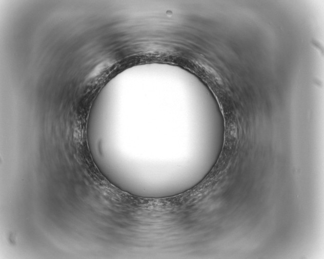 X0000093750869200710301123