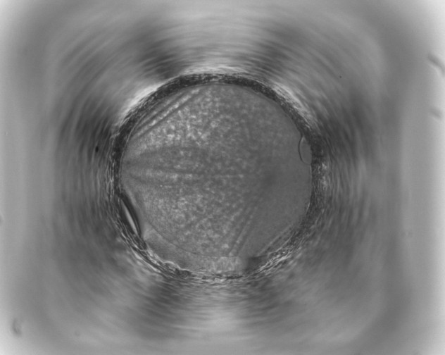 X0000093750872200710301123