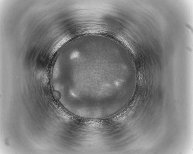 X0000093750874200710301122
