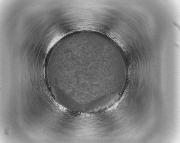 X0000093750877200710301122
