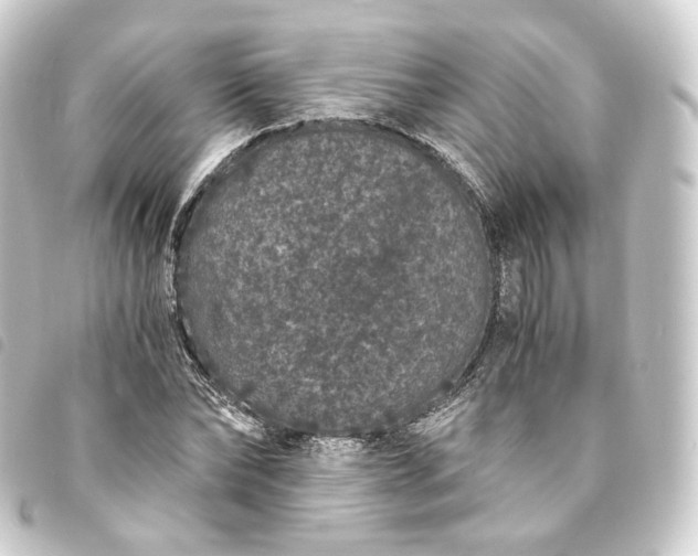 X0000093750878200710301122